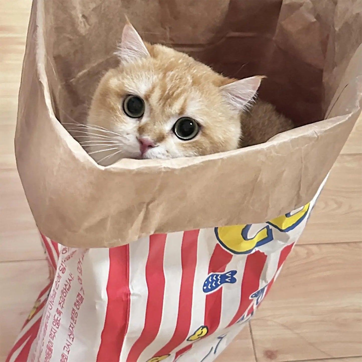 Interactive Pet Paper Bag Toy. Thick Kraft Paper, Dispenses Treats, Makes Crinkle Sound, Reduces Boredom For Cats And Dogs