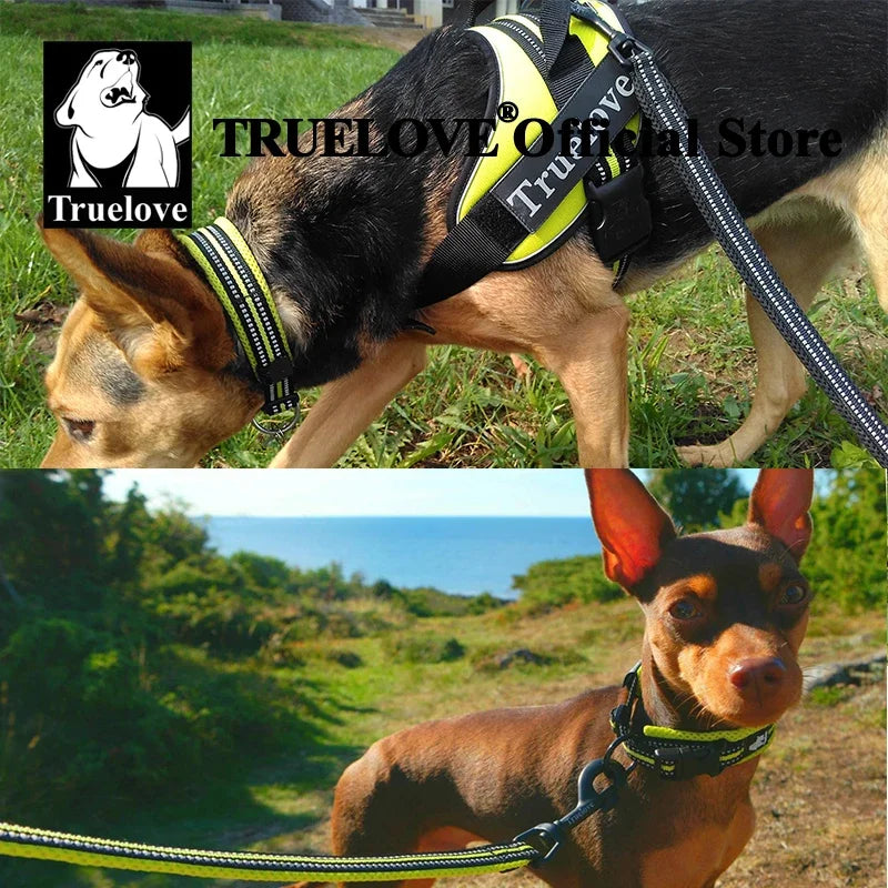 Truelove Pet Dog Collar Nylon Adjustable Webbing Padded, Reflective, Durable, Heavy Duty