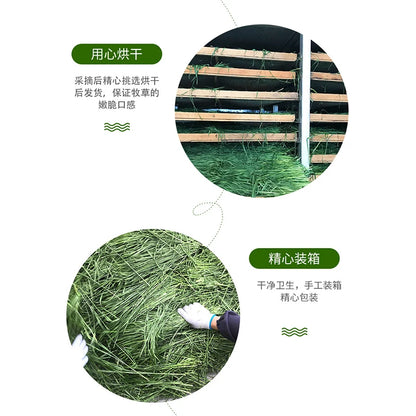 Fresh Dried Timothy. FCL Hay Snacks/Feed. Chinchilla, Guinea Pigs, Rabbits & Farm Animal Supplies