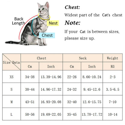 Cat/Puppy Outdoor Walking Supplies. Fashion Pet Harness and Leash Set for Small Dogs/Cats. Breathable, Durable Kitten Harnesses