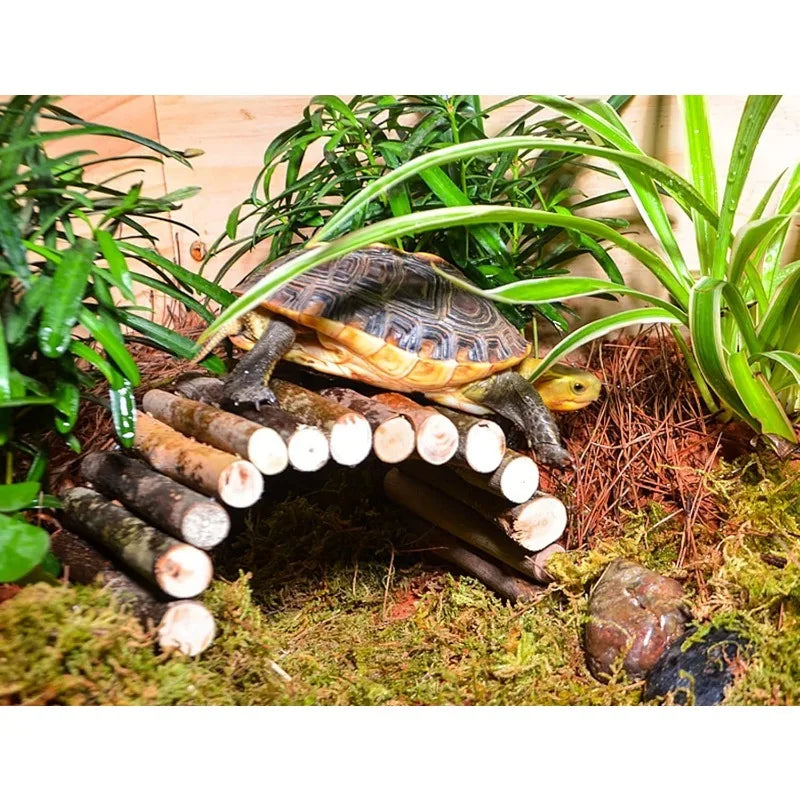 Reptile Bridge Hammock. Jungle Climbing Vines and Leaves with Suction Cup. Habitat Decorations for Hiding and Climbing for Snakes & Geckos