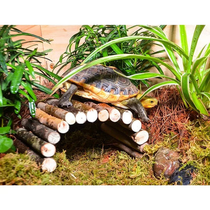 Reptile Bridge Hammock. Jungle Climbing Vines and Leaves with Suction Cup. Habitat Decorations for Hiding and Climbing for Snakes & Geckos