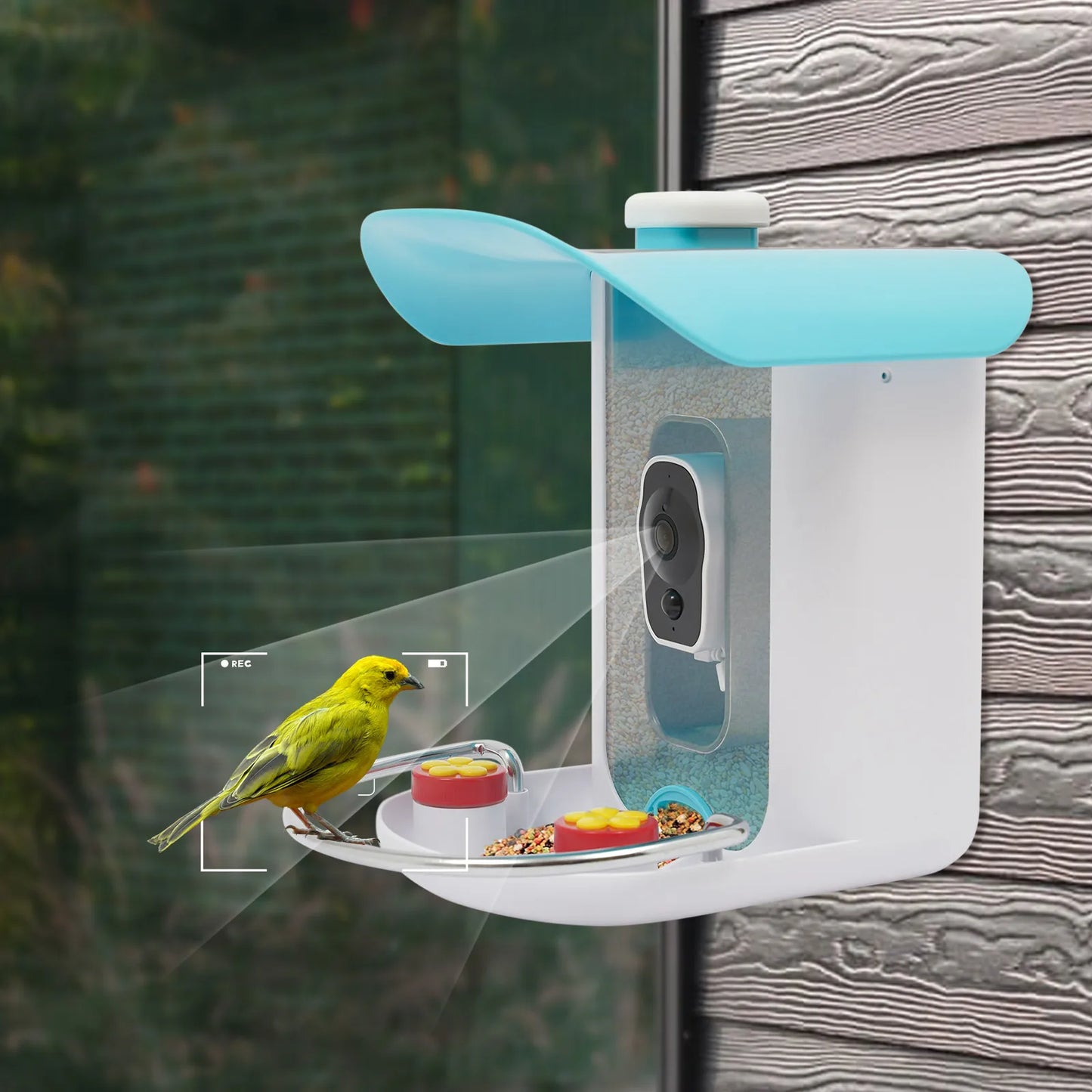 Smart Bird Feeder with Camera, Bird House for Outside, Bird Auto Capture with Solar Panel. Can Attract Sparrows, Hummingbirds