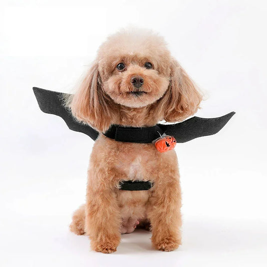 Dog Costumes. Bat Wings. Chest and Back Strap. Pet Costume for Halloween. Halloween Pet Decoration