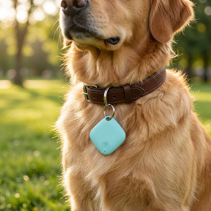 Pet Tracker Device for Cats And Dogs. Anti-Lost Tracking Locator for Small And Large Breeds with GPS