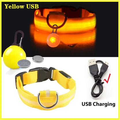Usb Charging Glowing Collar With Pendant Detachable Luxury Led Light. For Small Dogs Cat Night Safety