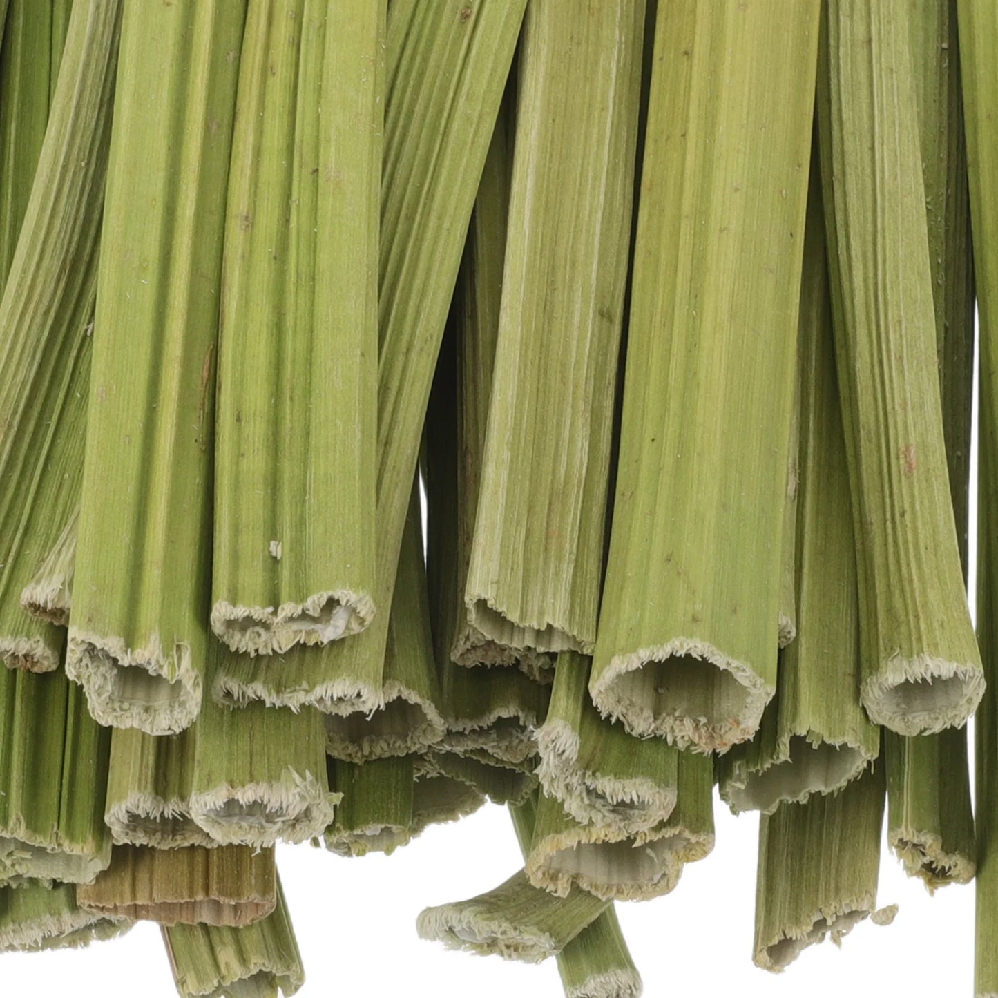 1 Set Papaya Stem Chew Sticks. 100g Natural Treats for Rabbit, Hamsters, Chinchillas, Guinea Pigs & Small Animals. Dental Snack.