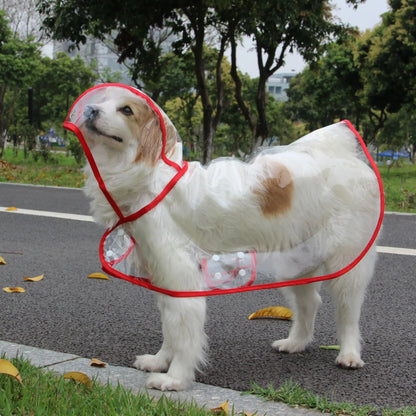 Dog Raincoat. Waterproof, New Transparent Plastic Fashion Poncho, Personalized Color Edge.