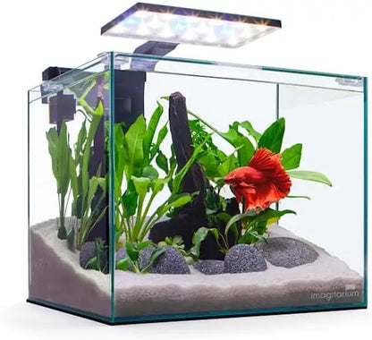 5-Gallon Frameless Glass Betta Aquarium Kit with LED Lights and Filter
