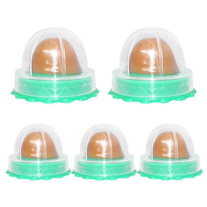 5/10Pcs Catnip Wall Ball. Cat Nip Treats. Lickable Pet Catnip. Candy Ball for Help with Digestion