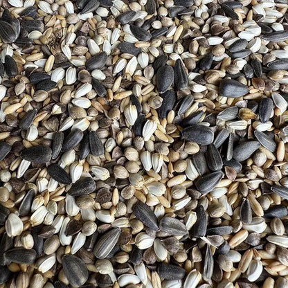Premium Pet Parrot Bird Seed & Pigeon Food. Selective Wild Bird Supplies.