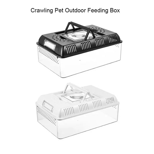 Outdoor Reptile Pet Breeding Box. Crawling Pet Feeding Box. Lizard, Silkworm, Scorpion, Beetles. Insect Box Pet House, Acrylic Cage