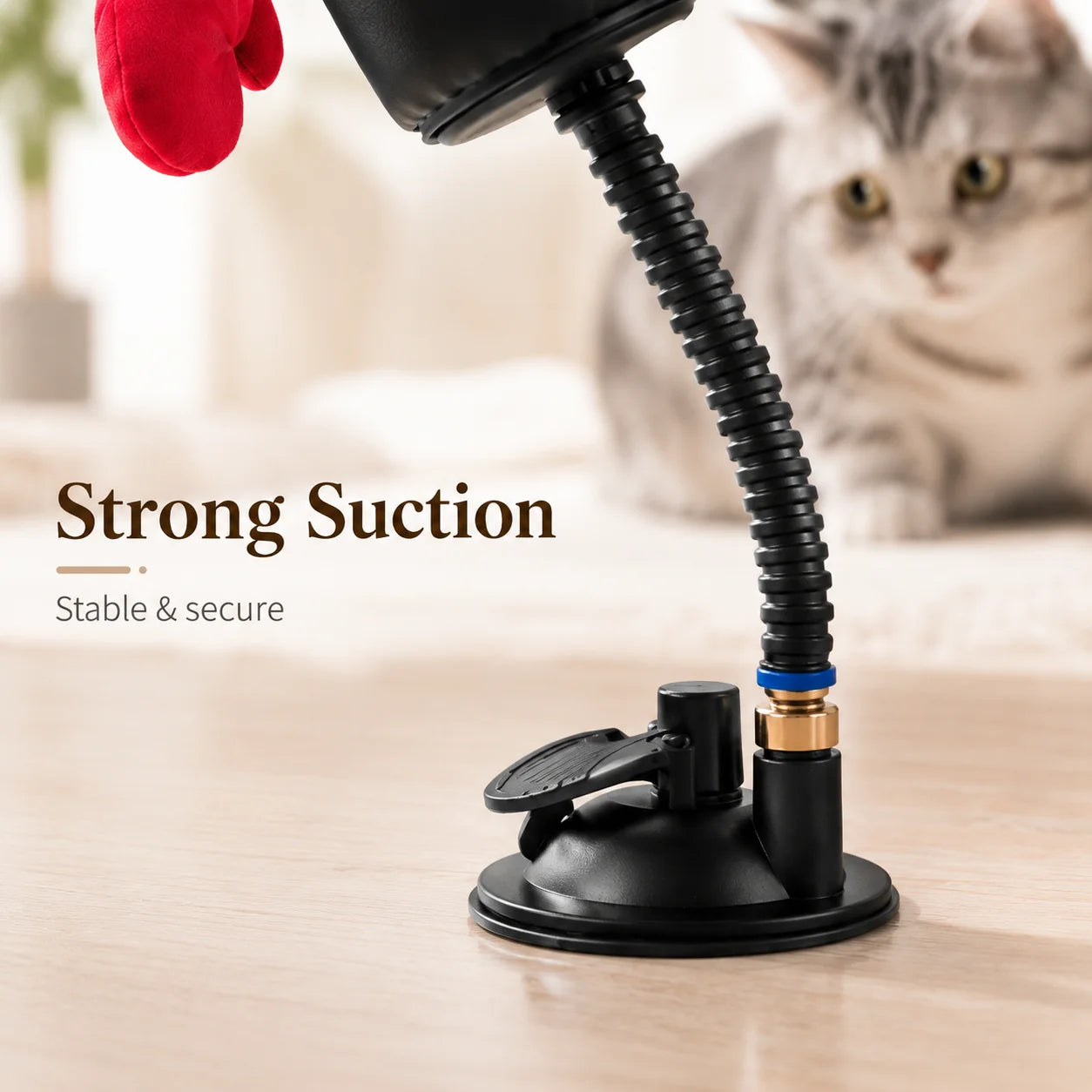 Cat Boxing Toy - Multi-functional Cat Stimulation  for Self-Entertainment and Relaxation - Interactive Cat Toy