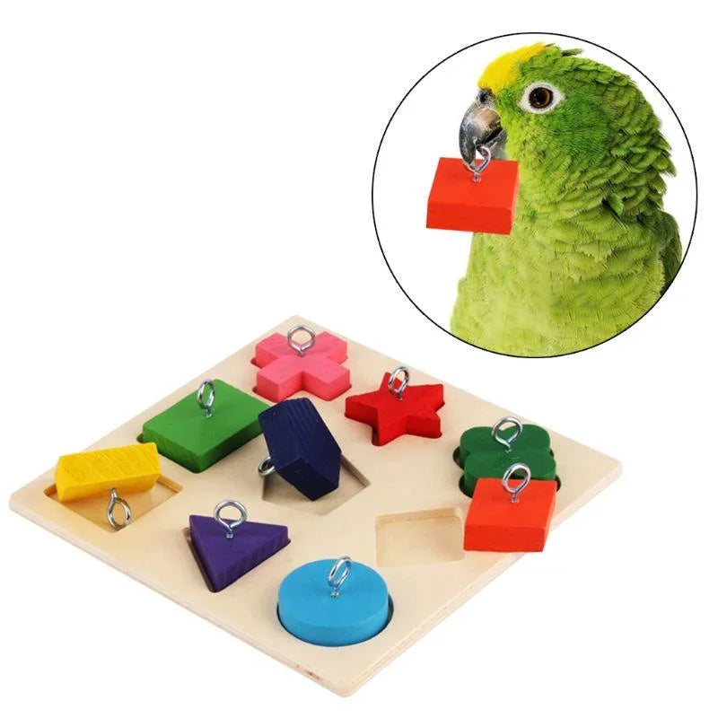 Parrot Educational Toys. Parrot Interactive Training Toys. Wooden Block Puzzle Toy.