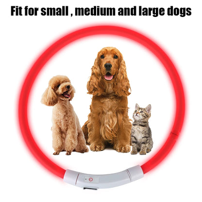 Dog Loss Prevention Led/Usb Dog Collar. Pet Accessories. Night Safety, Flashing Glow  Collar. Night Luminous Charge Collar