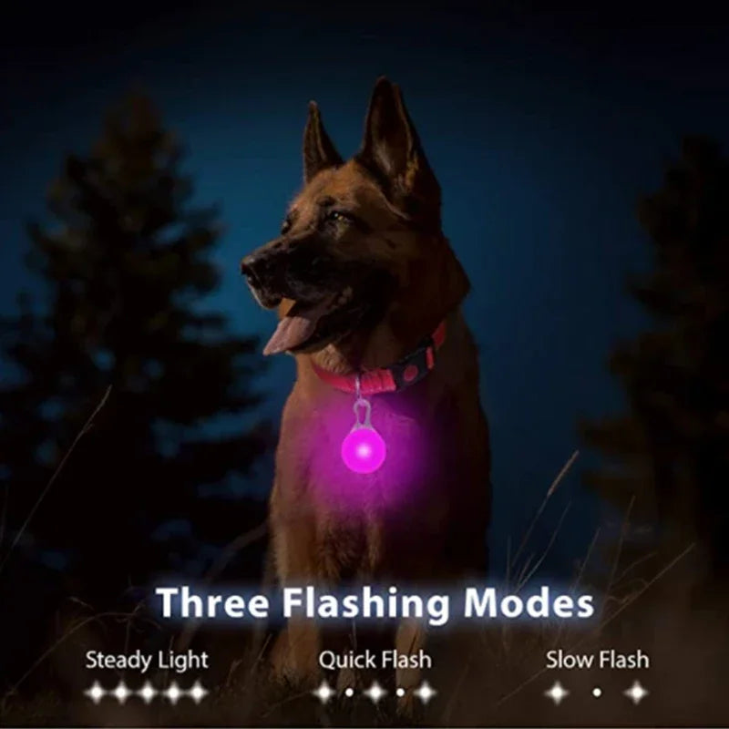 Usb Charging Glowing Collar With Pendant Detachable Luxury Led Light. For Small Dogs Cat Night Safety