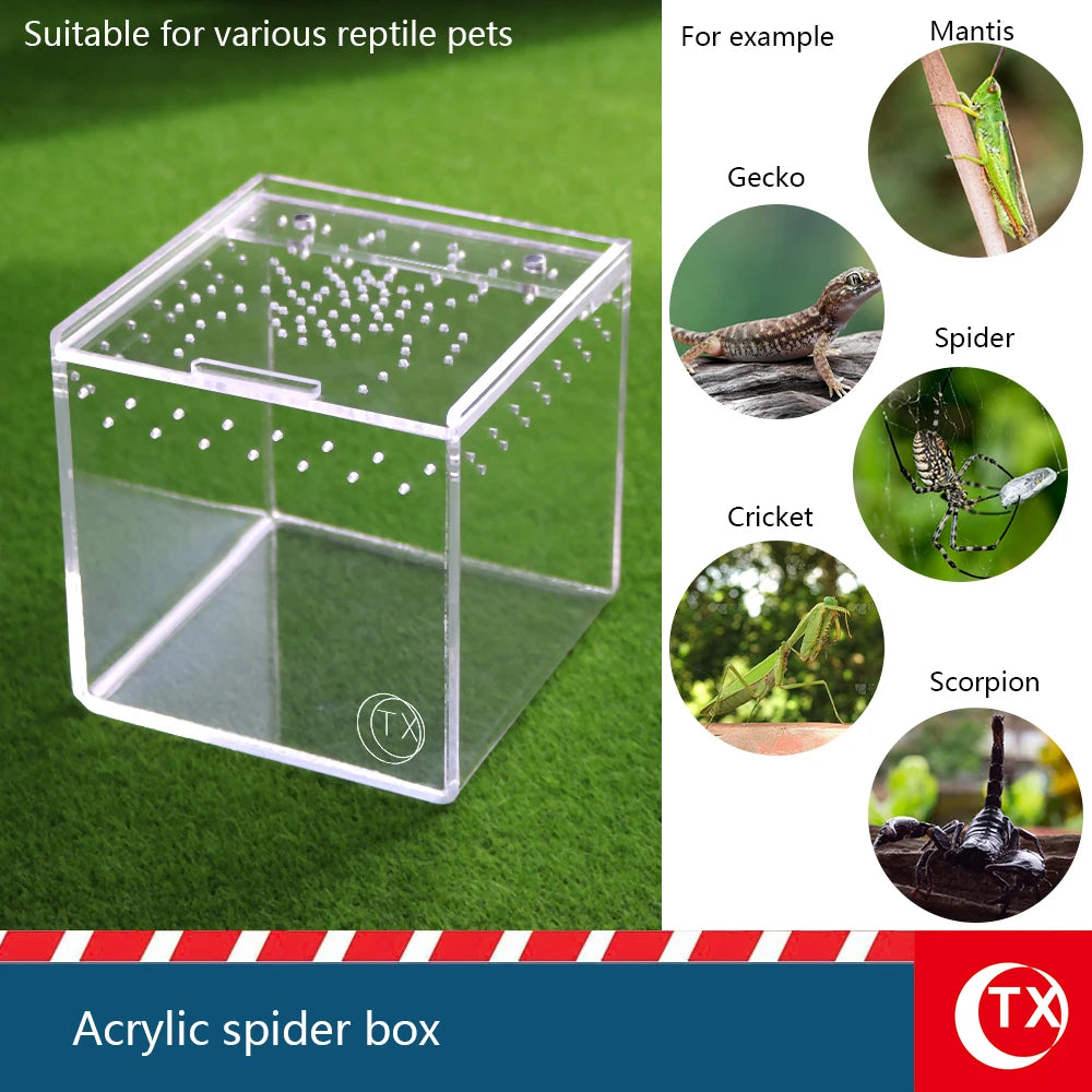 House-Shaped Acrylic Reptile Breeding Box. Transparent Pet Habitat for Spiders, Lizards & Insects. Magnetic Door & Breathable