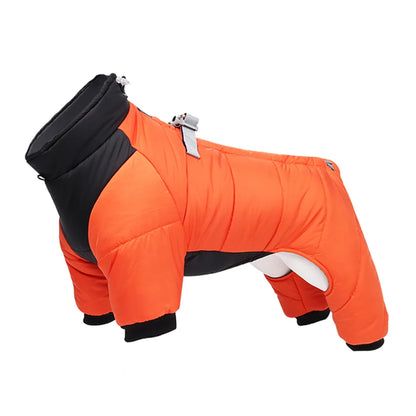 Waterproof Small Dog Coat With D Ring. Warm Pet Clothing for Medium Dogs. Best for a Chihuahua or Poodle.