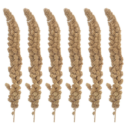 1 Pack Of 500g Parrot Snacks. Ears Of Grain Millet Treat For Pet Birds. Natural Dried Millet For Parakeets, Parrots, Cockatiels