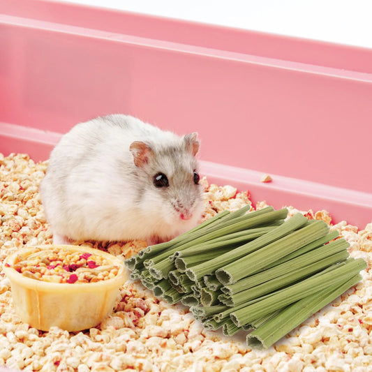 1 Set Papaya Stem Chew Sticks. 100g Natural Treats for Rabbit, Hamsters, Chinchillas, Guinea Pigs & Small Animals. Dental Snack.