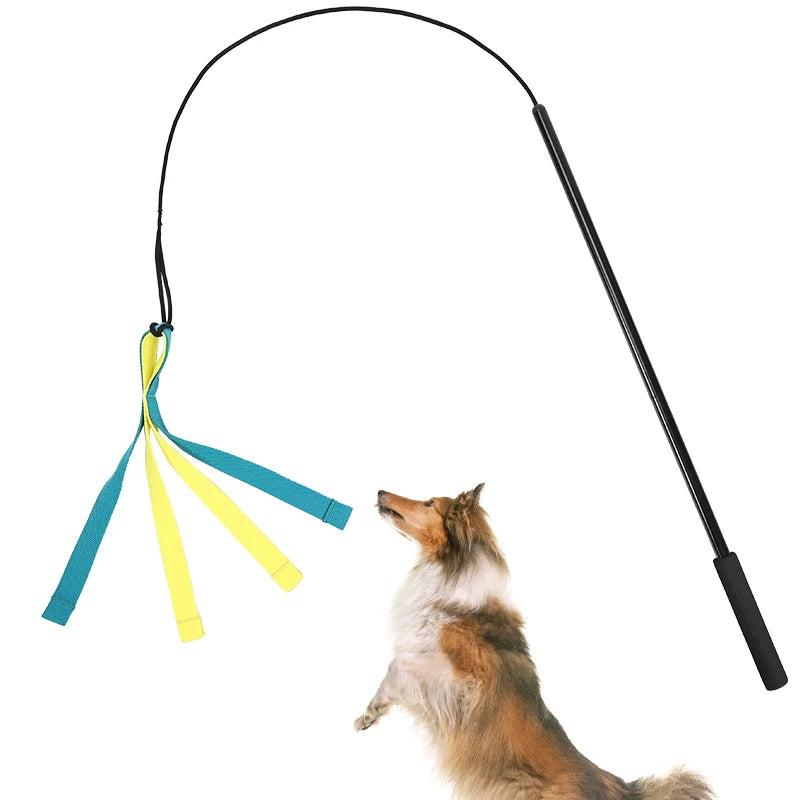 Pet Dog Interactive Flirt Pole Toys. Durable, Detachable Toy. Outdoor Activities, Dog Training Toys.