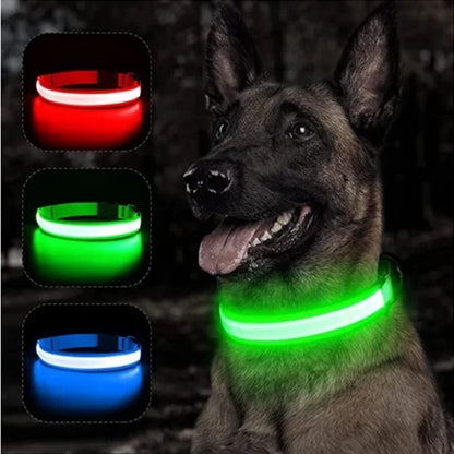 Usb Charging Glowing Collar With Pendant Detachable Luxury Led Light. For Small Dogs Cat Night Safety