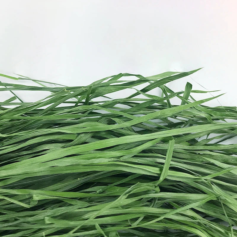Fresh Dried Timothy. FCL Hay Snacks/Feed. Chinchilla, Guinea Pigs, Rabbits & Farm Animal Supplies