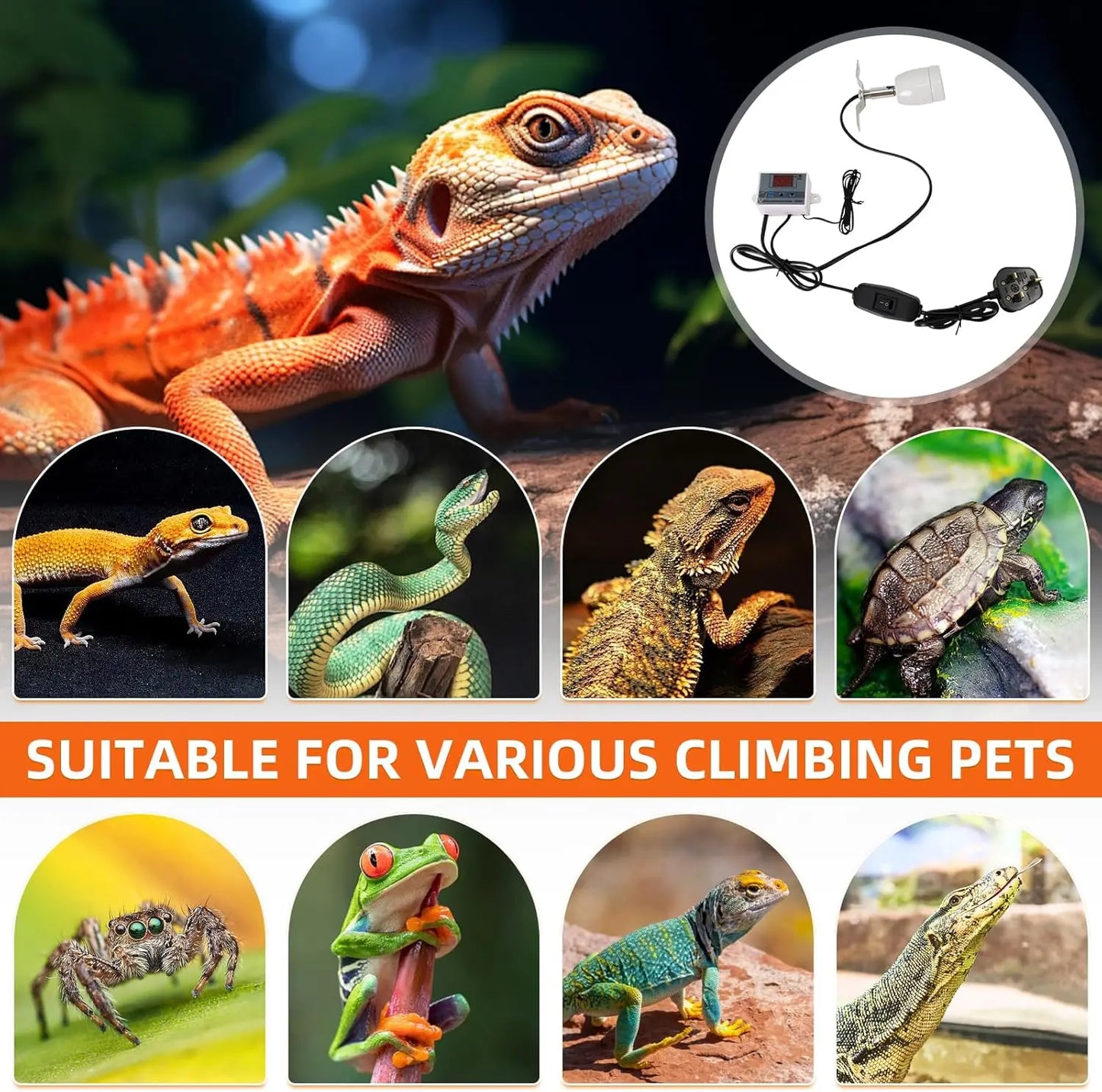 Reptile Heat Lamp Holder. Heating Lamp with Temperature Controller. Ceramic Bracket for E27 Bulb