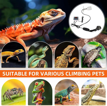 Reptile Heat Lamp Holder. Heating Lamp with Temperature Controller. Ceramic Bracket for E27 Bulb