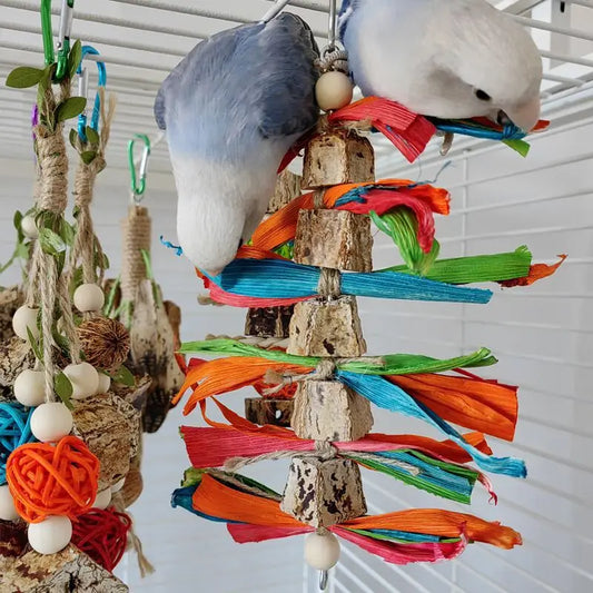 Bird Toys. Colorful Hanging Chew Parrot Toys. Parakeet Puzzle Training. Relief Bite String Cage. Decorative Bird Accessories