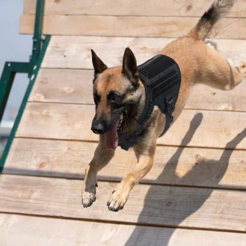 Large Dog Collar Dog Harness And Leash Set. Pet Vest Tactical. Large, Medium and Small Dogs Harnesses.