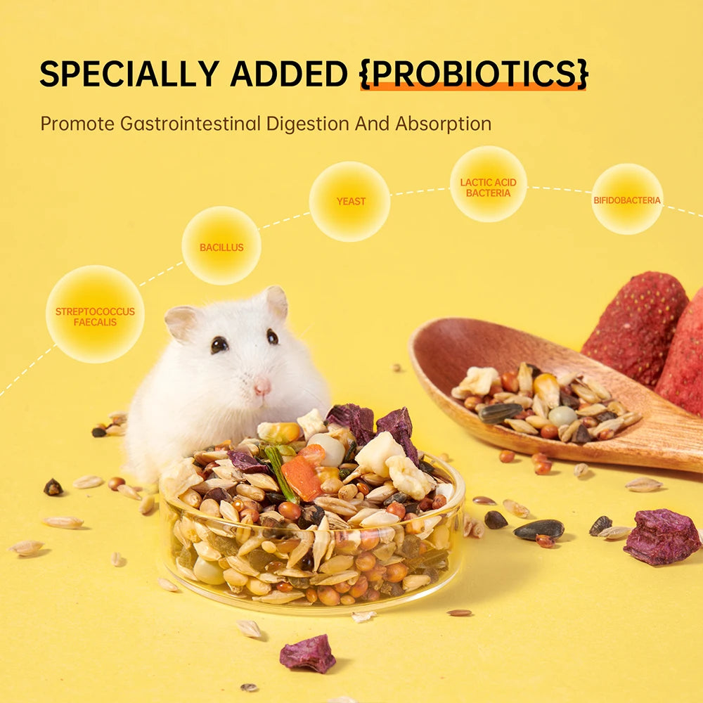 Hamster Food Grain Feed. Factory Wholesale. Golden Bear Hamster Nutritional Feed Molar Grain.