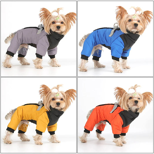 Waterproof Small Dog Coat With D Ring. Warm Pet Clothing for Medium Dogs. Best for a Chihuahua or Poodle.