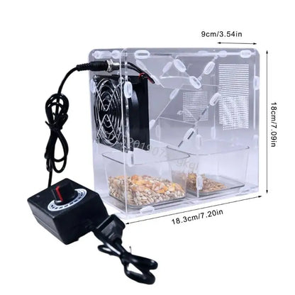 High Efficiency Bird Seed Processor Shell Split Machine with Adjustable Speed T4MC