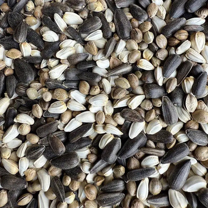 Premium Pet Parrot Bird Seed & Pigeon Food. Selective Wild Bird Supplies.