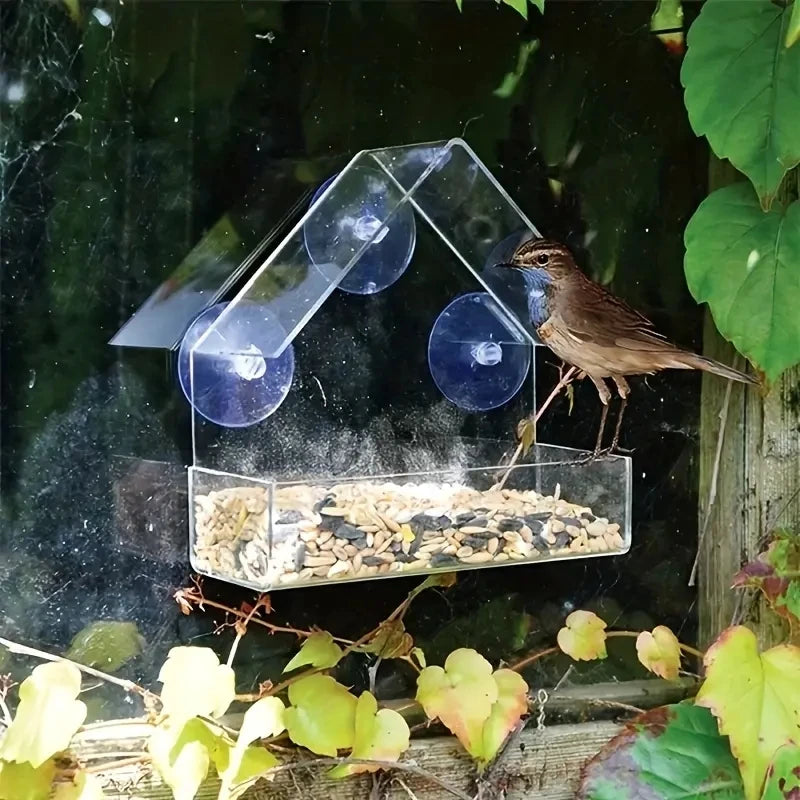 Acrylic Bird Feeder. Clear Window Outside Hanging Bird Feeder House with Suction Cup for Garden. Outdoor Backyard Wildlife Birding