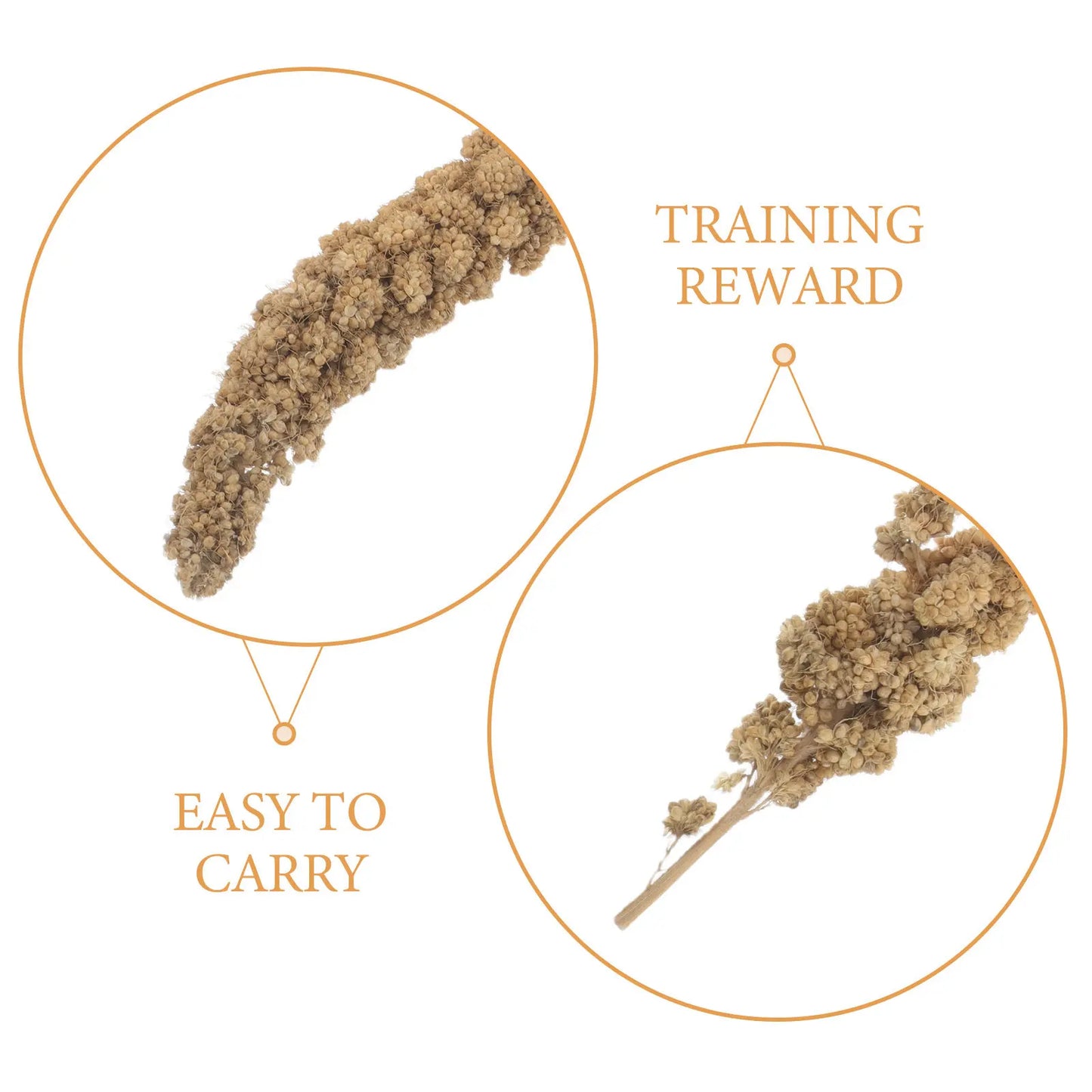 1 Pack Of 500g Parrot Snacks. Ears Of Grain Millet Treat For Pet Birds. Natural Dried Millet For Parakeets, Parrots, Cockatiels