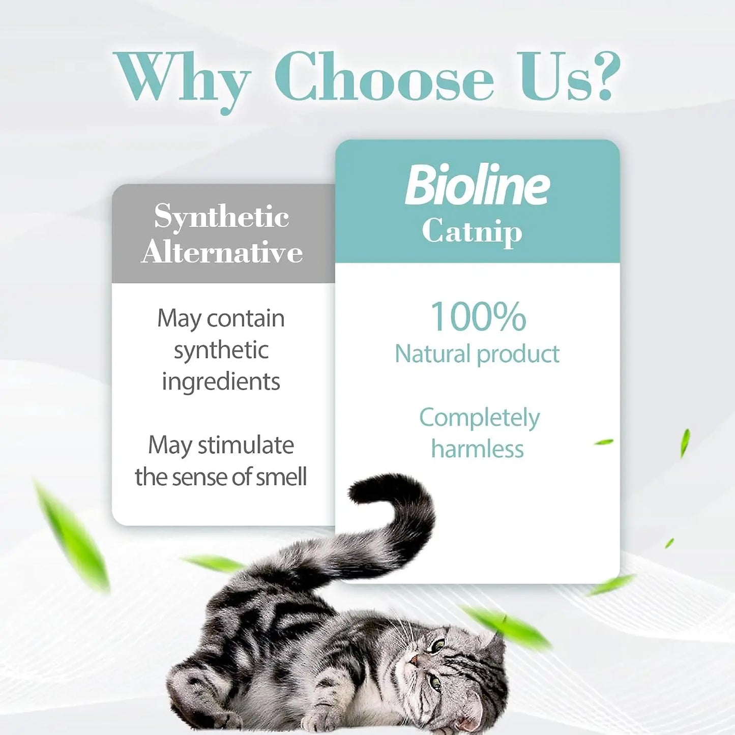 Catnip for Cats. Natural Dried Cat Mint Leaves. 20g Organic Catnip Treat. Relieves Stress Encourages Play. Kitten Toys