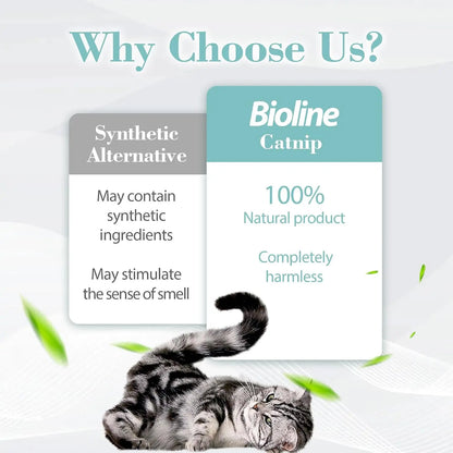 Catnip for Cats. Natural Dried Cat Mint Leaves. 20g Organic Catnip Treat. Relieves Stress Encourages Play. Kitten Toys