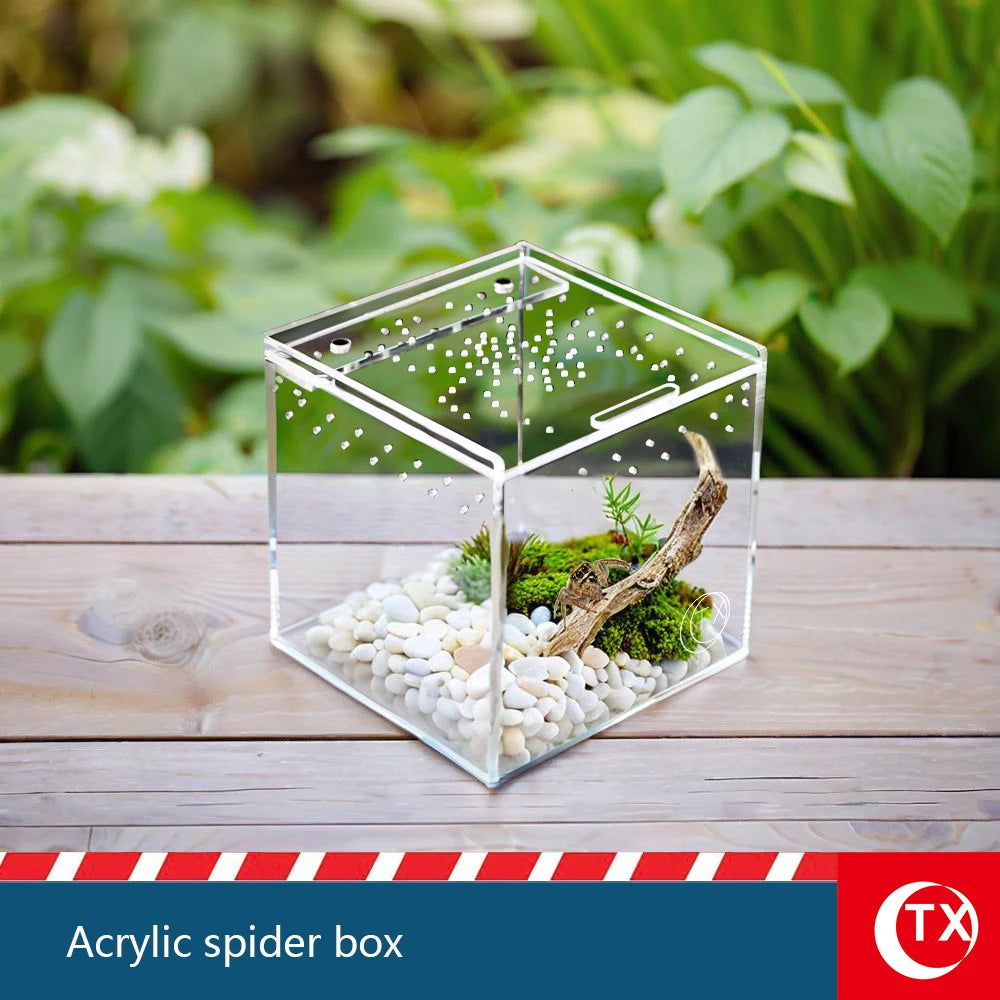 House-Shaped Acrylic Reptile Breeding Box. Transparent Pet Habitat for Spiders, Lizards & Insects. Magnetic Door & Breathable