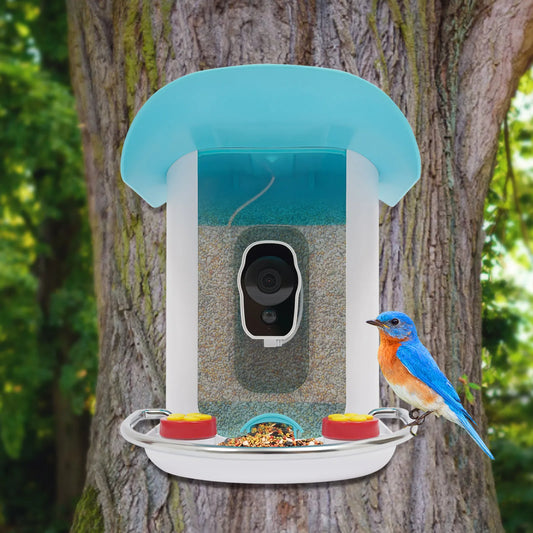 Smart Bird Feeder with Camera, Bird House for Outside, Bird Auto Capture with Solar Panel. Can Attract Sparrows, Hummingbirds