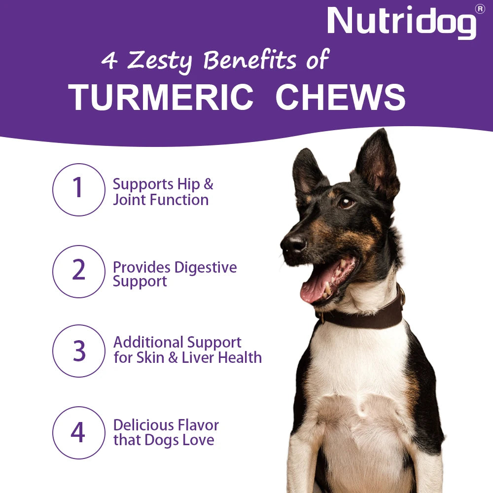 Turmeric Chews For Dog - Anti-inflammatory joint care. Contains glucosamine & chondroitin - Digestive support-120 soft chews