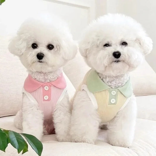 Summer Clothes for Dogs. Puppy Shirt Blouse. Spring Pets Sweatshirt. Fashion Apparel