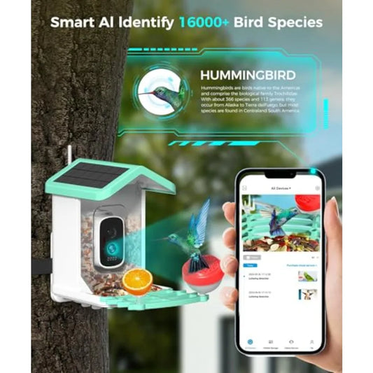 Bird Feeder with Camera. 4K HD AI Birds Species Identification Cam. Smart Bird Camera with Solar Powered Auto Capture and Instant
