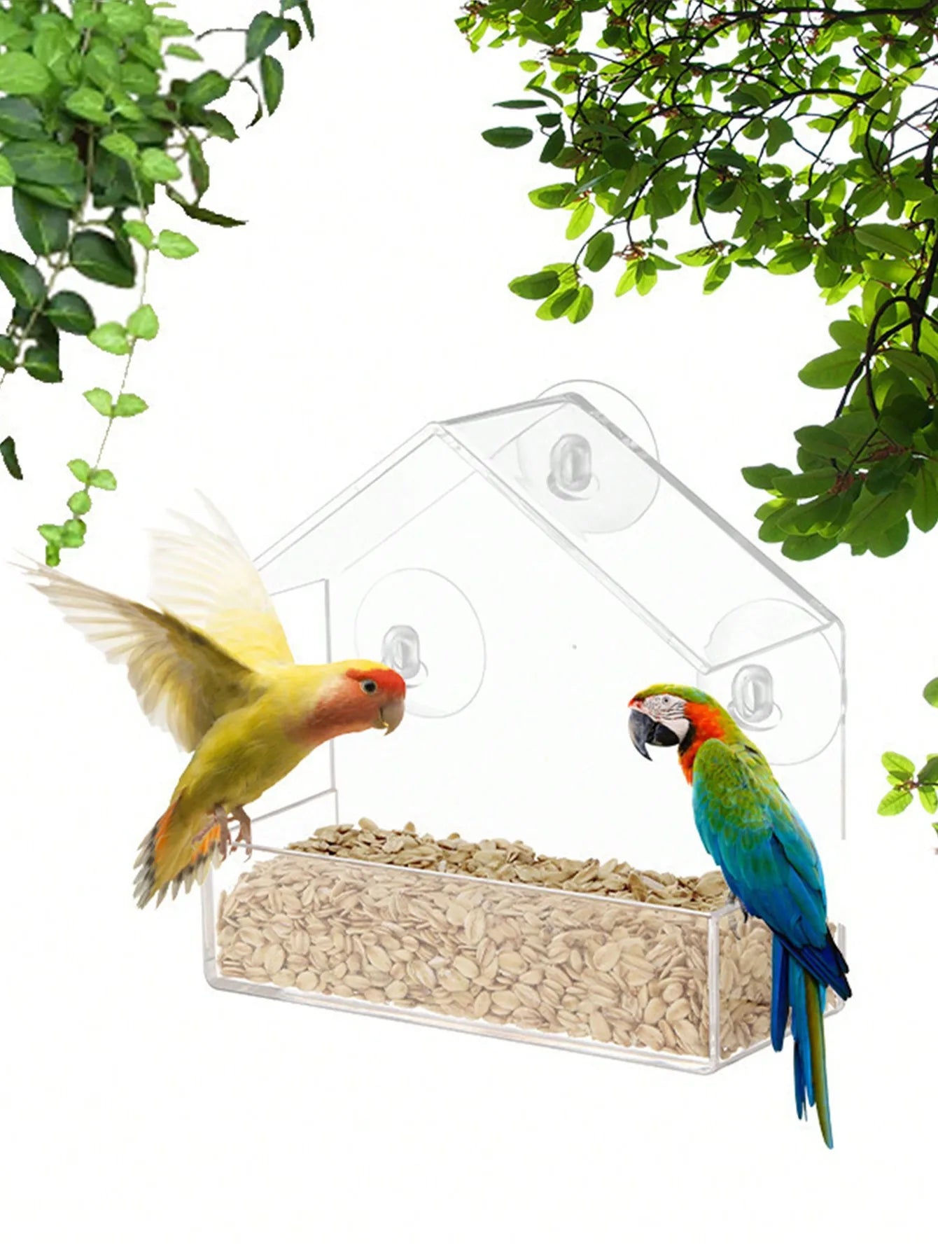 Acrylic Bird Feeder. Clear Window Outside Hanging Bird Feeder House with Suction Cup for Garden. Outdoor Backyard Wildlife Birding