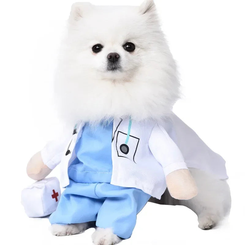 Halloween Dog Costumes. Transformation Outfit. Halloween Dog/Cat Two Legged Costume