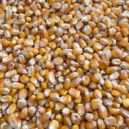 Premium Pet Parrot Bird Seed & Pigeon Food. Selective Wild Bird Supplies.