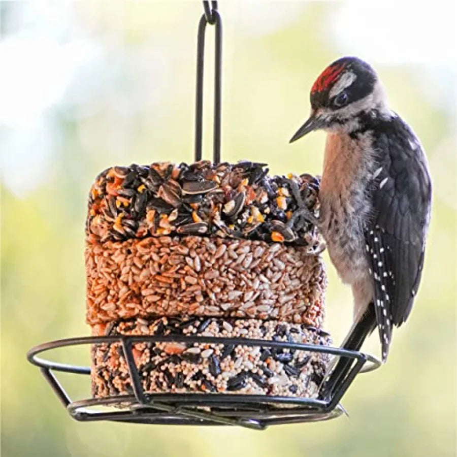 【Spot goods】Nut and Fruit Snack Stack. Wild Bird Food Bird Seed Cake for Outside Feeders 6-Pack