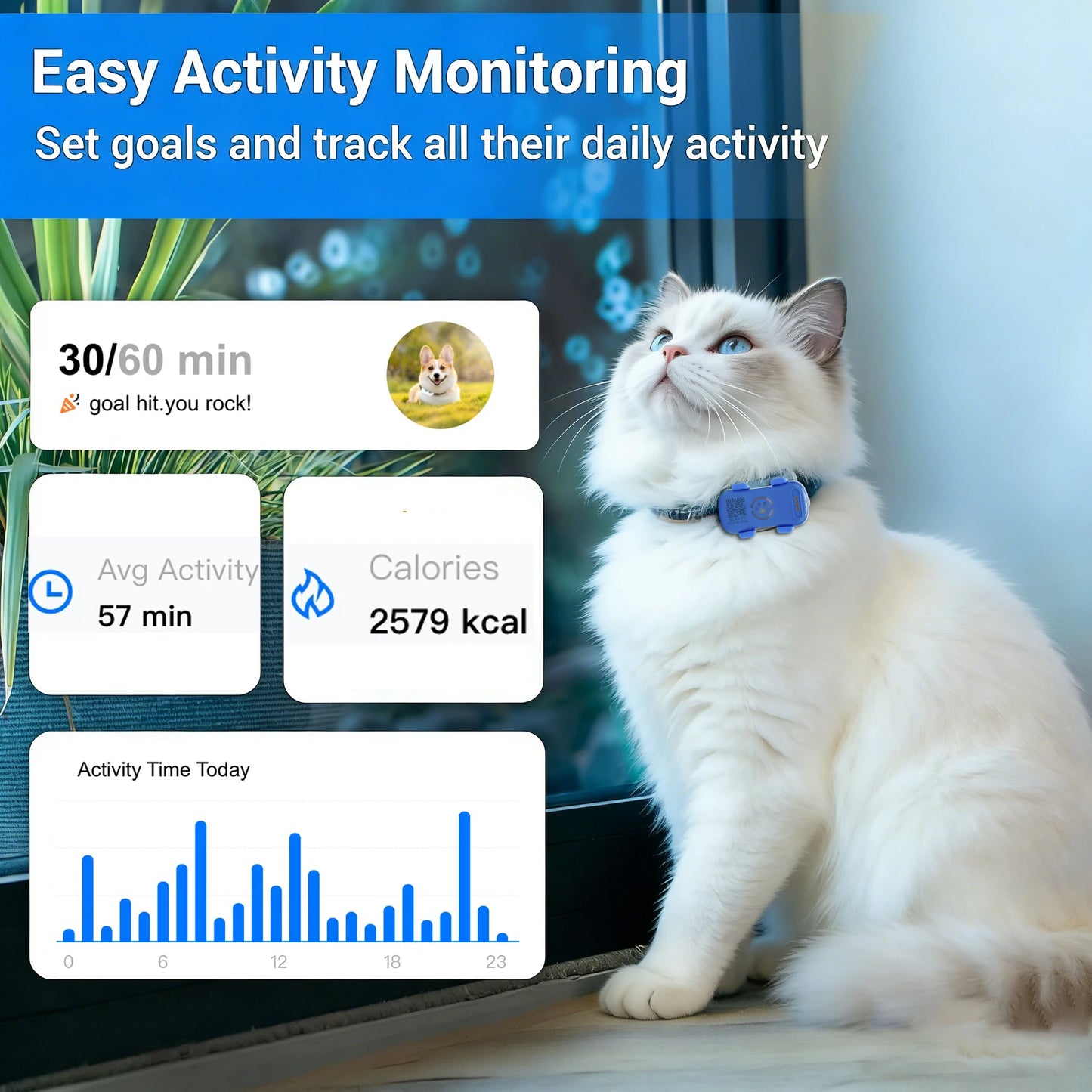 GPS Pet Tracker for Dogs & Cats. Real Time Tracking Unlimited Distance QR Code, Anti-Lost Locator with 1-year Service