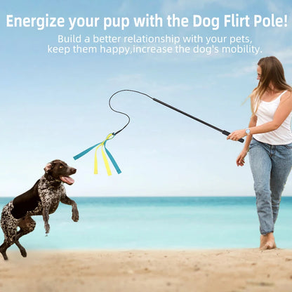 Pet Dog Interactive Flirt Pole Toys. Durable, Detachable Toy. Outdoor Activities, Dog Training Toys.